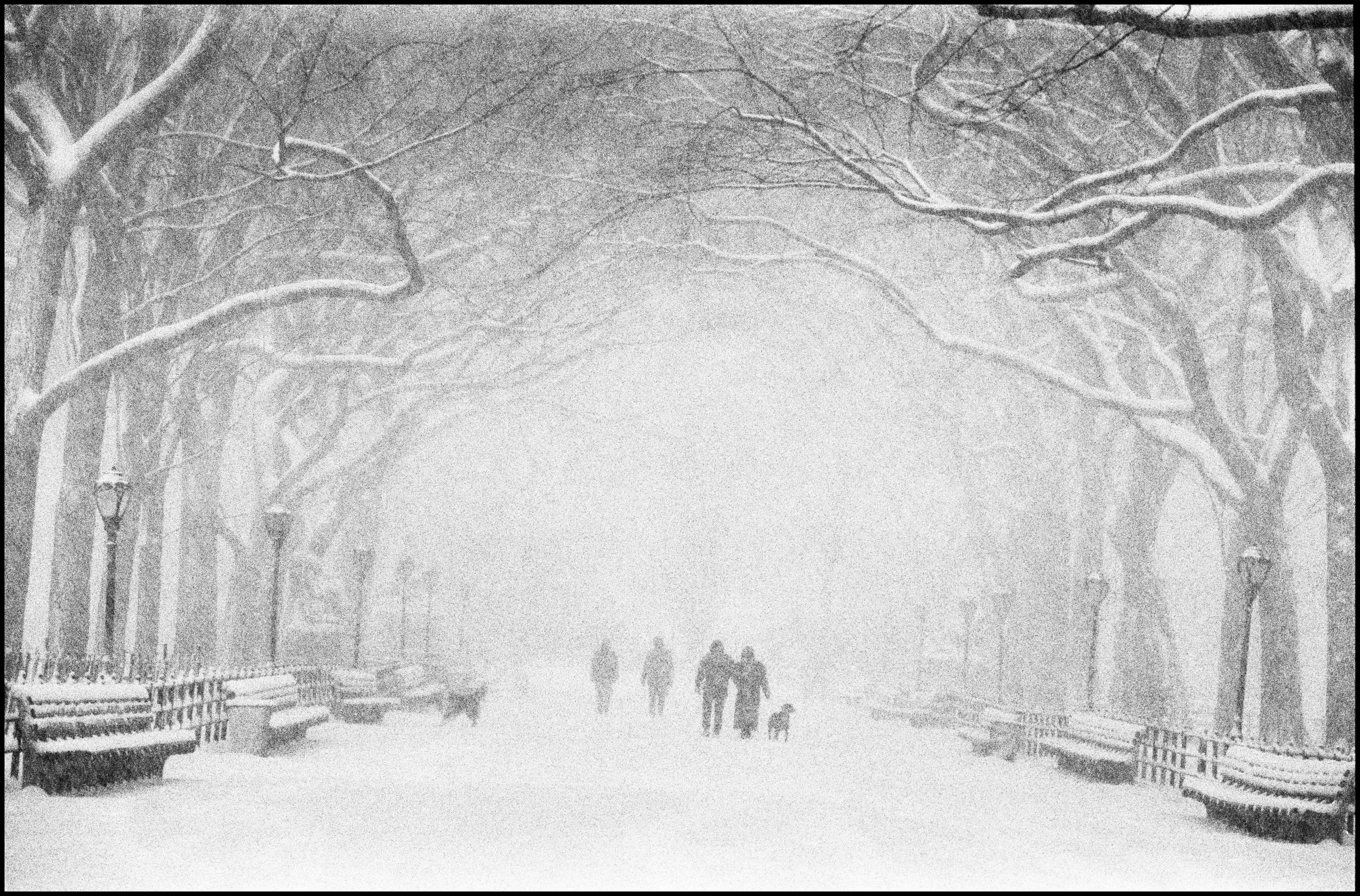 Fine Print: Central Park, New York City, USA, 1992 - Image 2