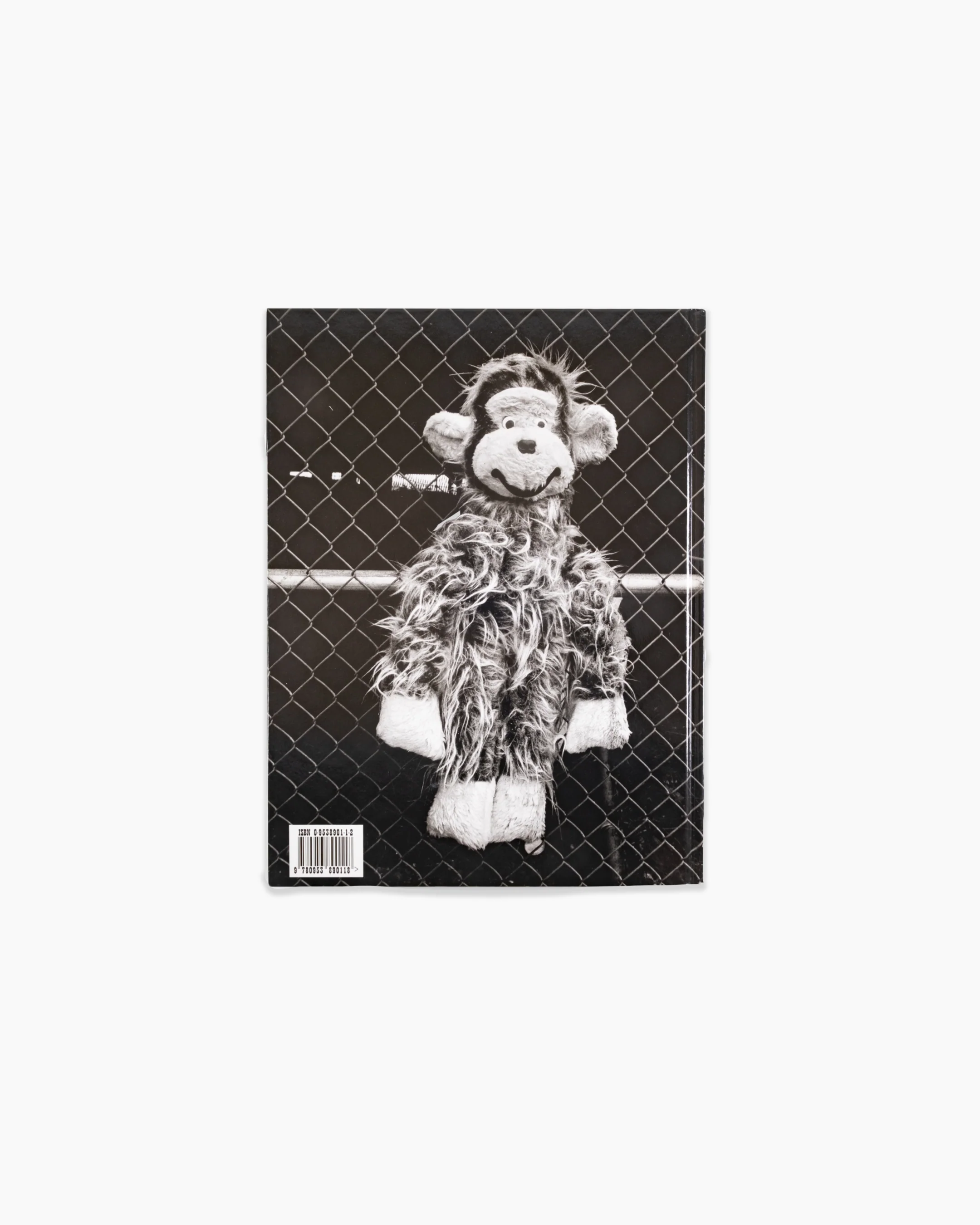 Coney Island - Image 4