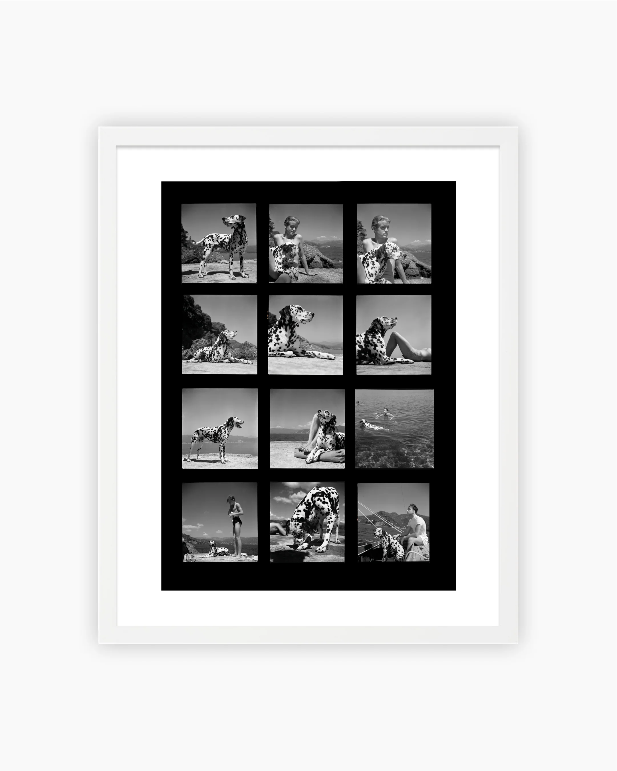 Contact Sheet Print: Dog in Italy, Portofino, Liguria, Italy, 1936 - Image 4