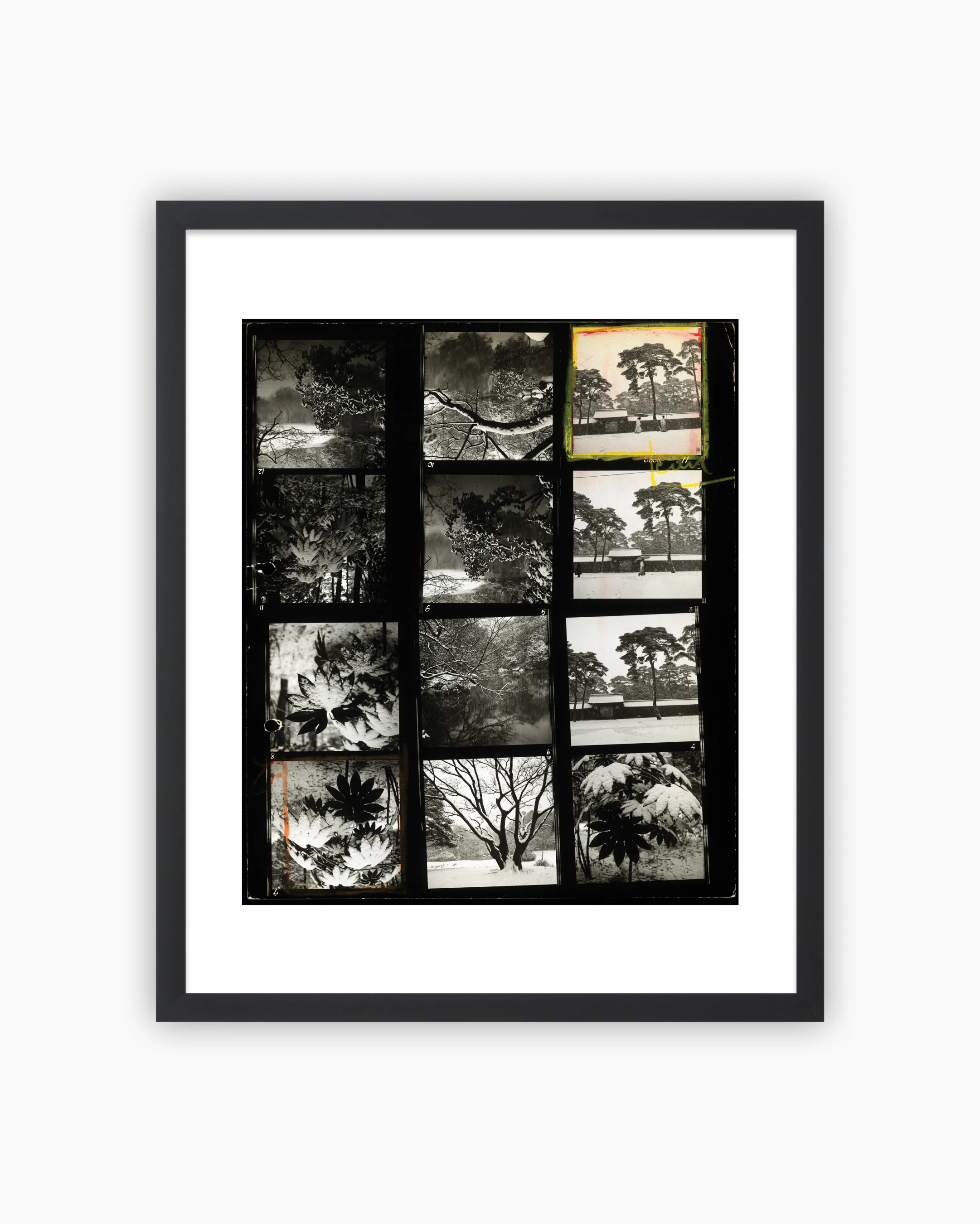Contact Sheet Print: Gardens of the Meiji temple, Tokyo, Japan, 1951 - Image 3