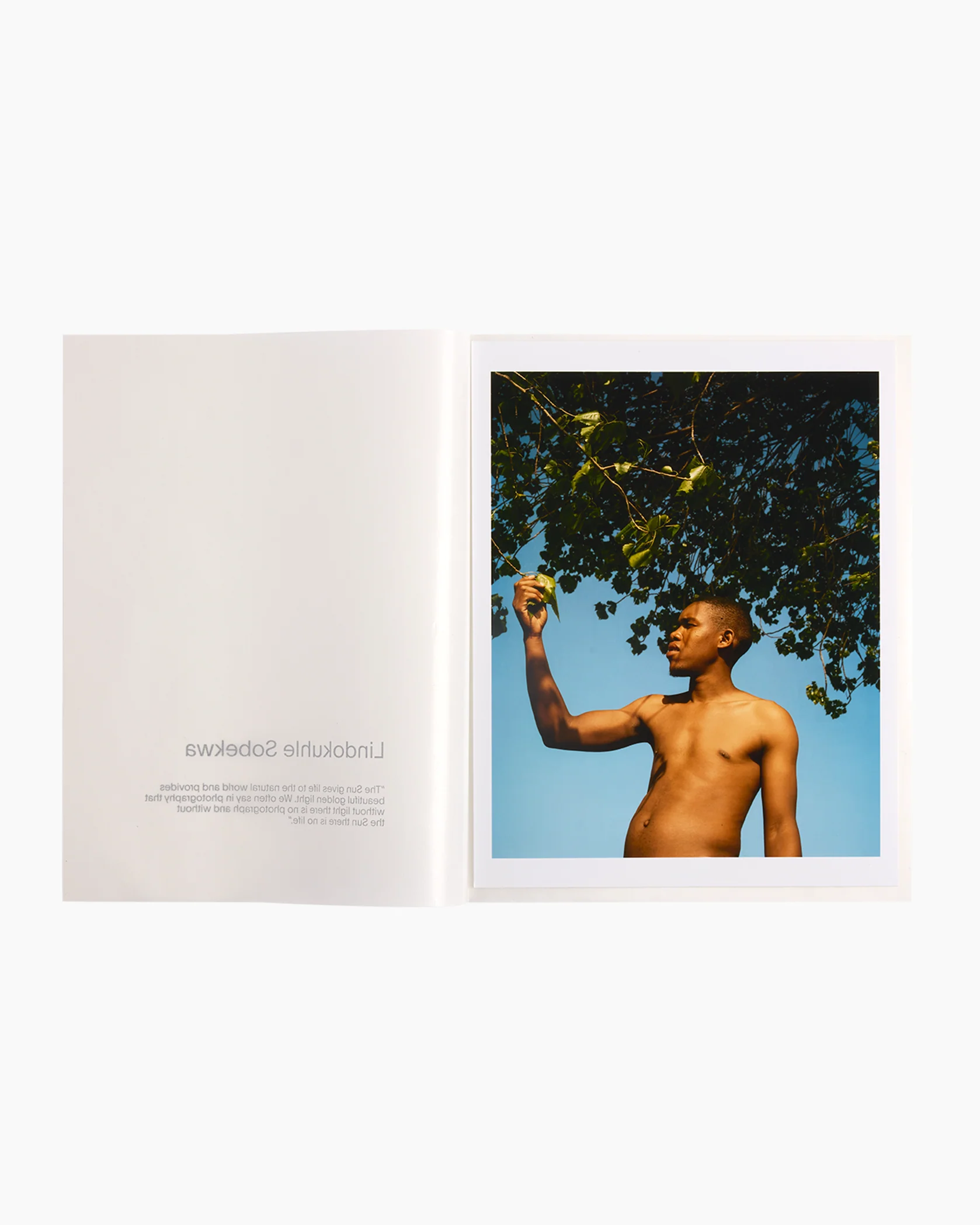 Emotions of the Sun: Collection Boxset - Image 14