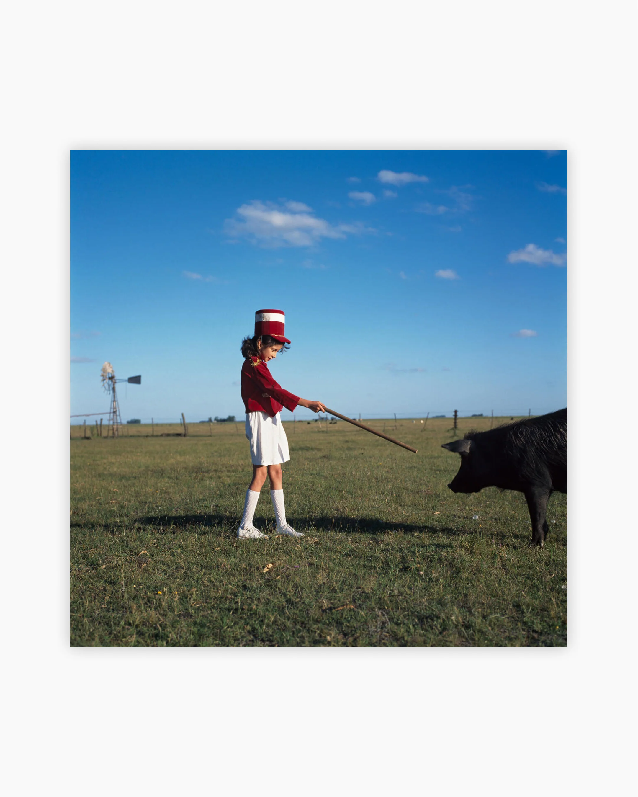 Fine Print: Enchanting the pig. Buenos Aires, Argentina, 1999