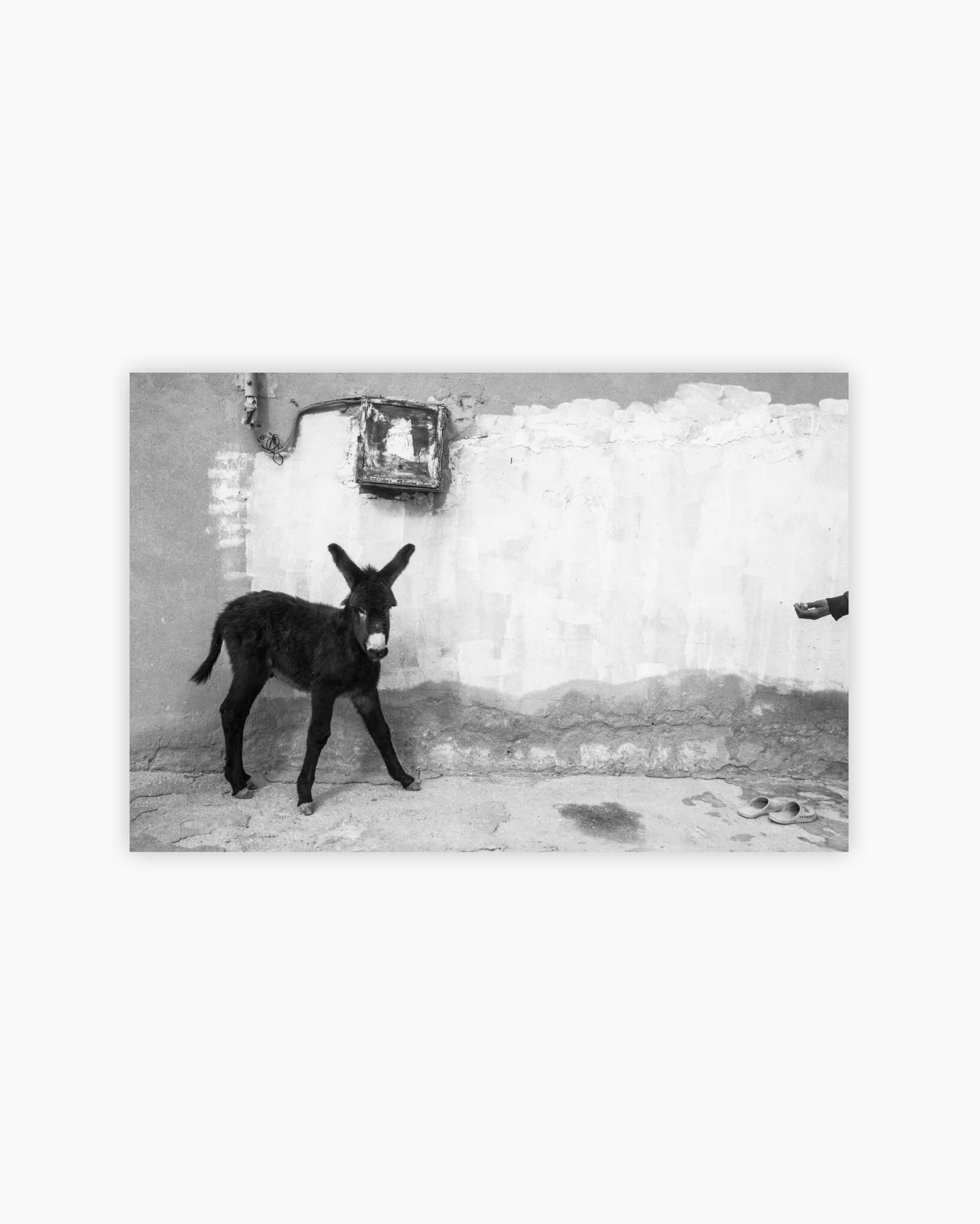Fine Print: Sagdoud, Gafsa, Tunisia, 2015