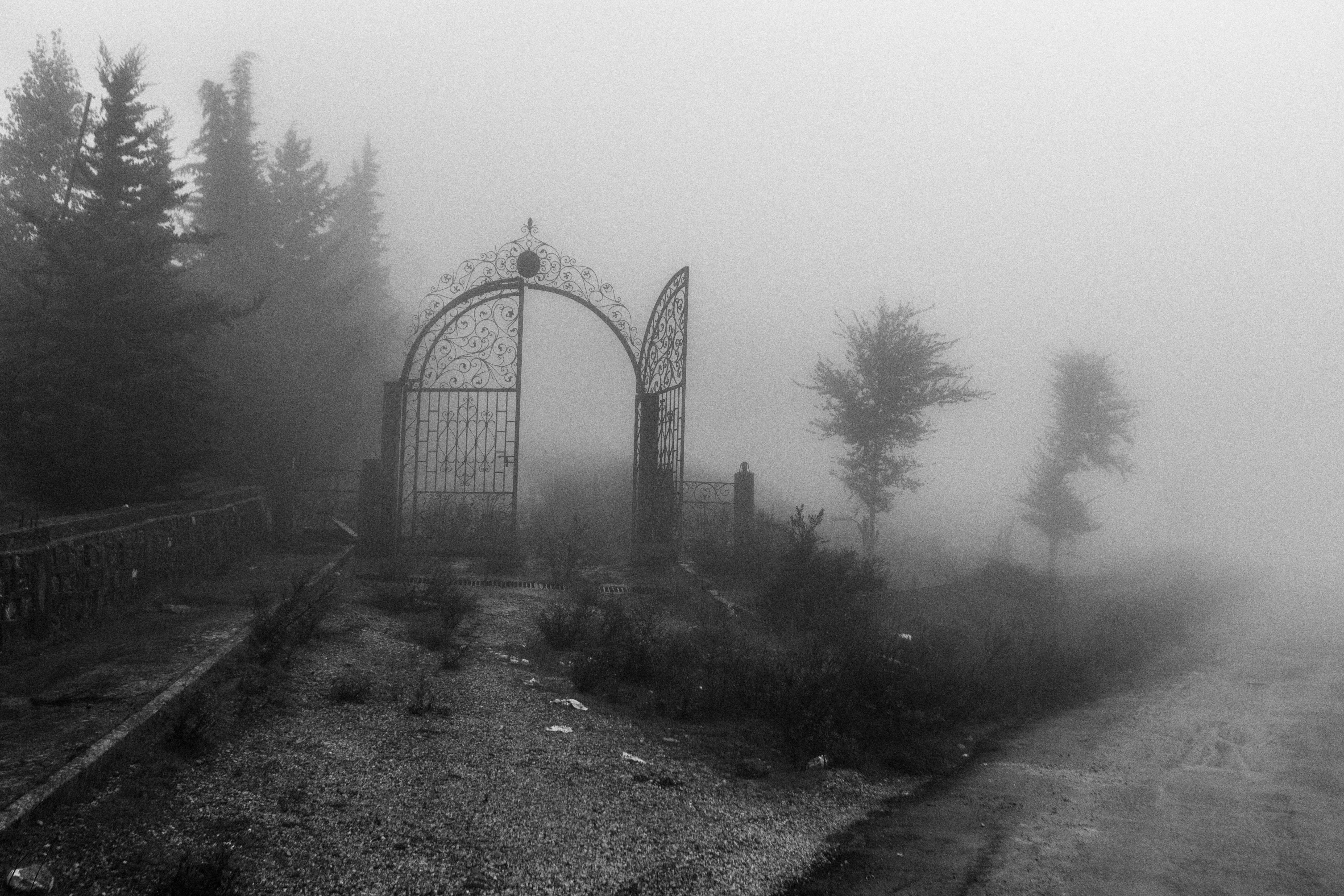 Fine Print: The gate of an abandoned Hotel. Ain Drahim, Jendouba, Tunisia, 16 November 2019 - Image 2