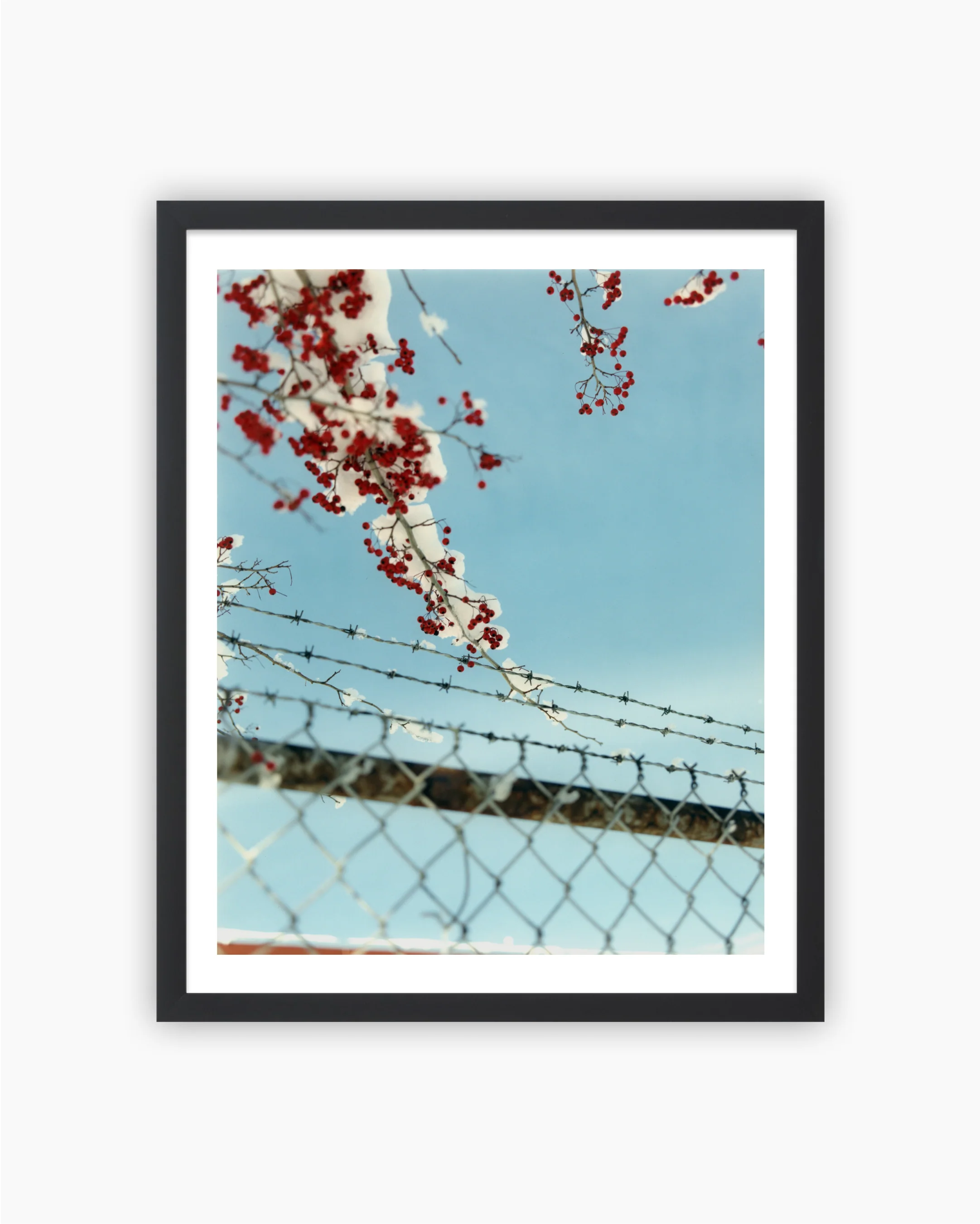 Magnum Editions: Buffalo, New York, USA, 2015 - Image 2