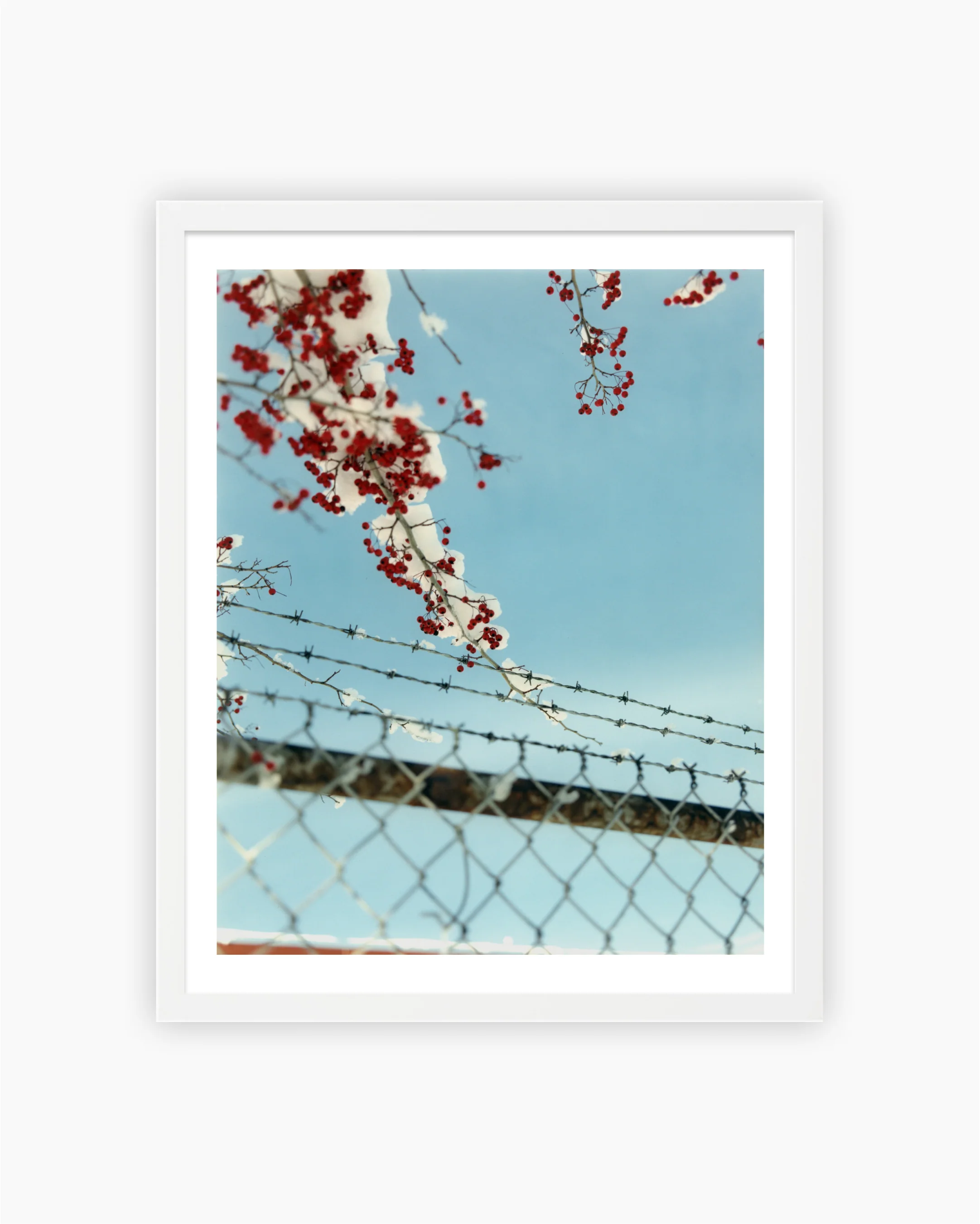 Magnum Editions: Buffalo, New York, USA, 2015 - Image 3