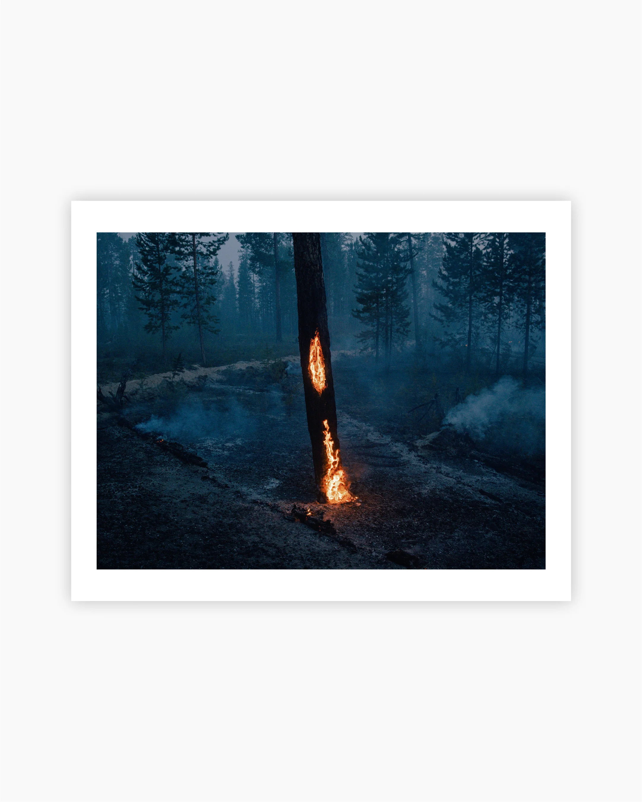 Magnum Editions: Summer Wildfires, Siberia, Russia, 2021