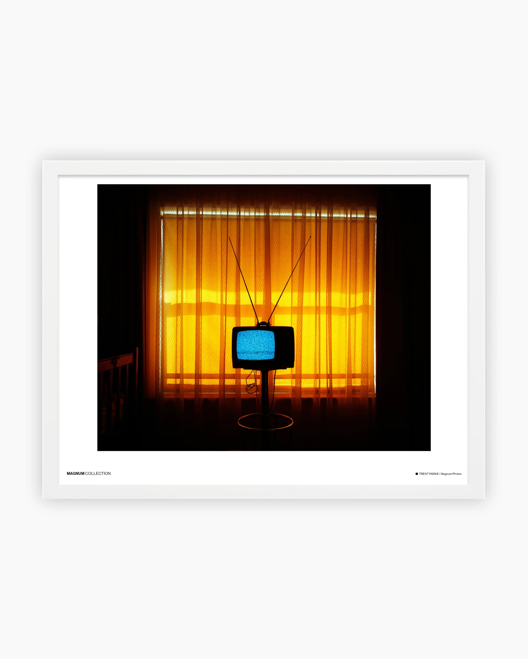 Magnum Poster: Adelaide, Australia, 2007 - Image 3