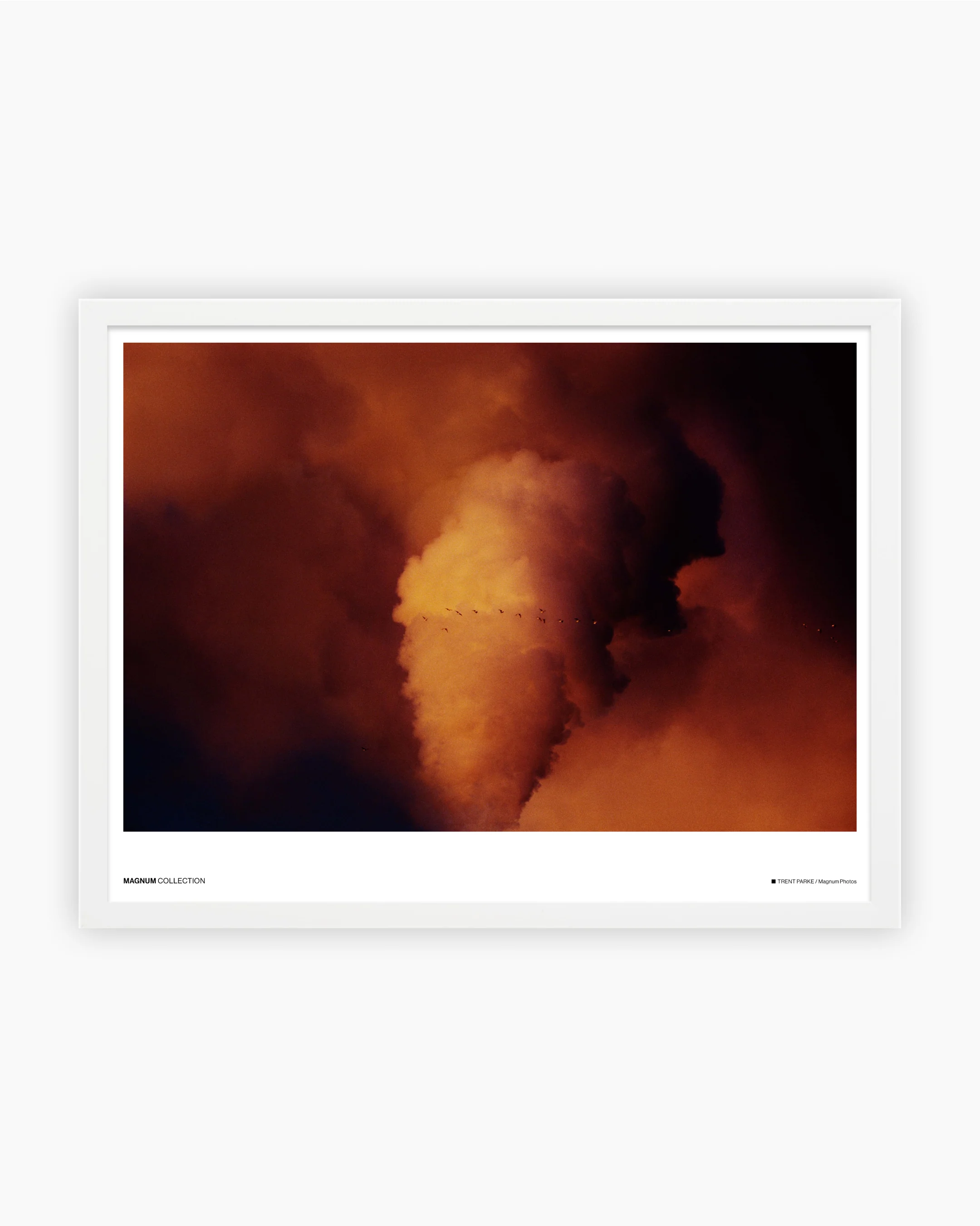 Magnum Poster: Adelaide, South Australia, 2019 - Image 3