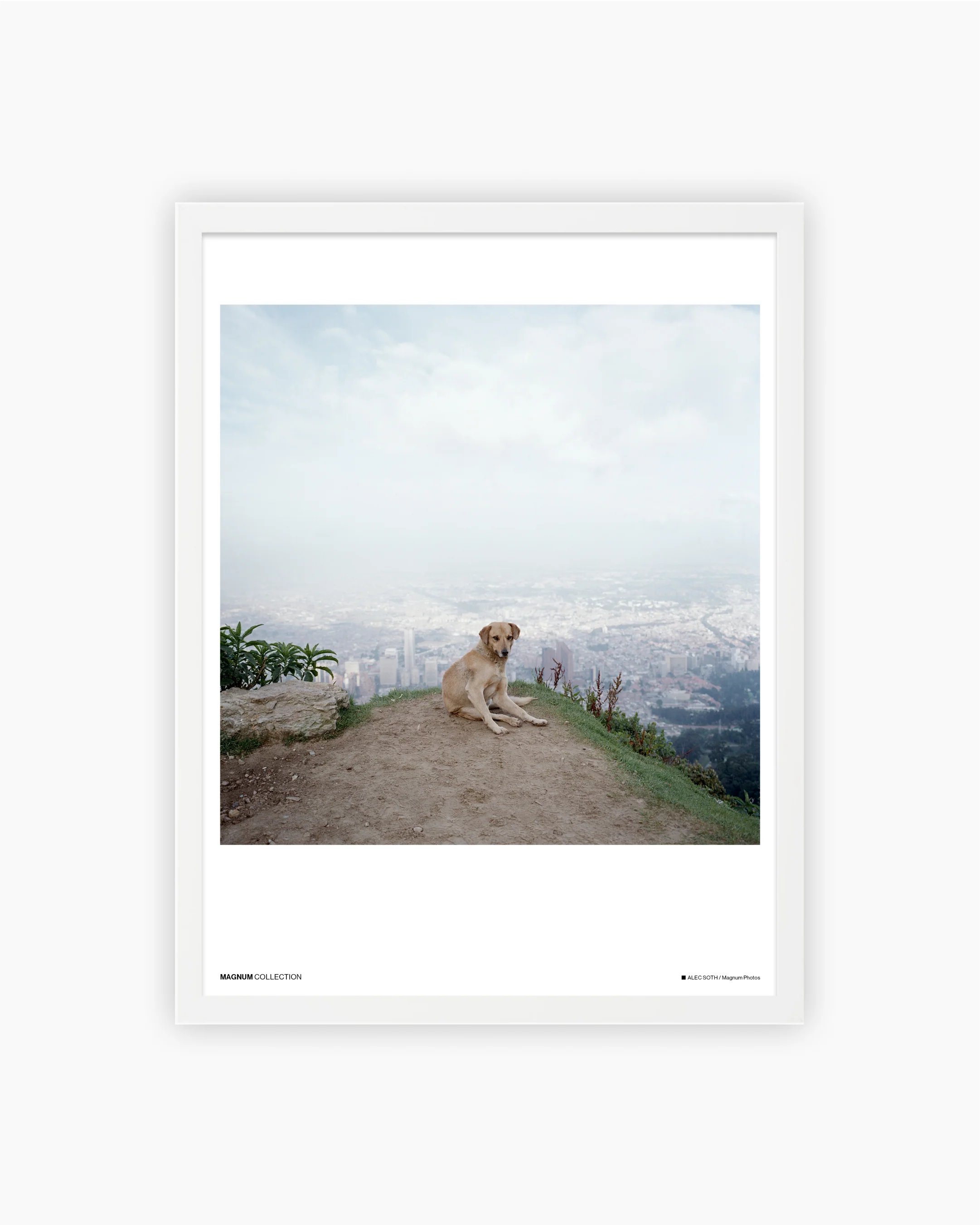 Magnum Poster: Bogota, Colombia, 2003 - Image 3