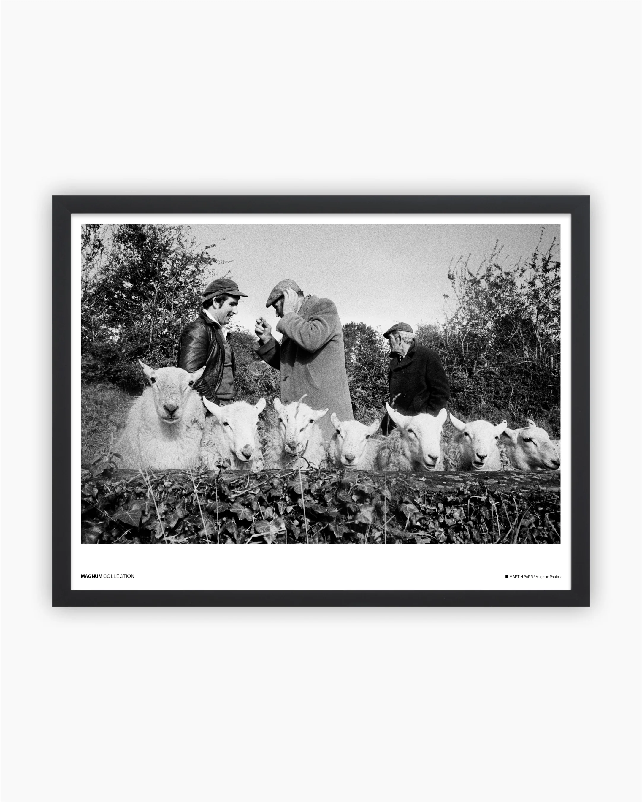 Magnum Poster: County Leitrim, Ireland, 1981 - Image 2