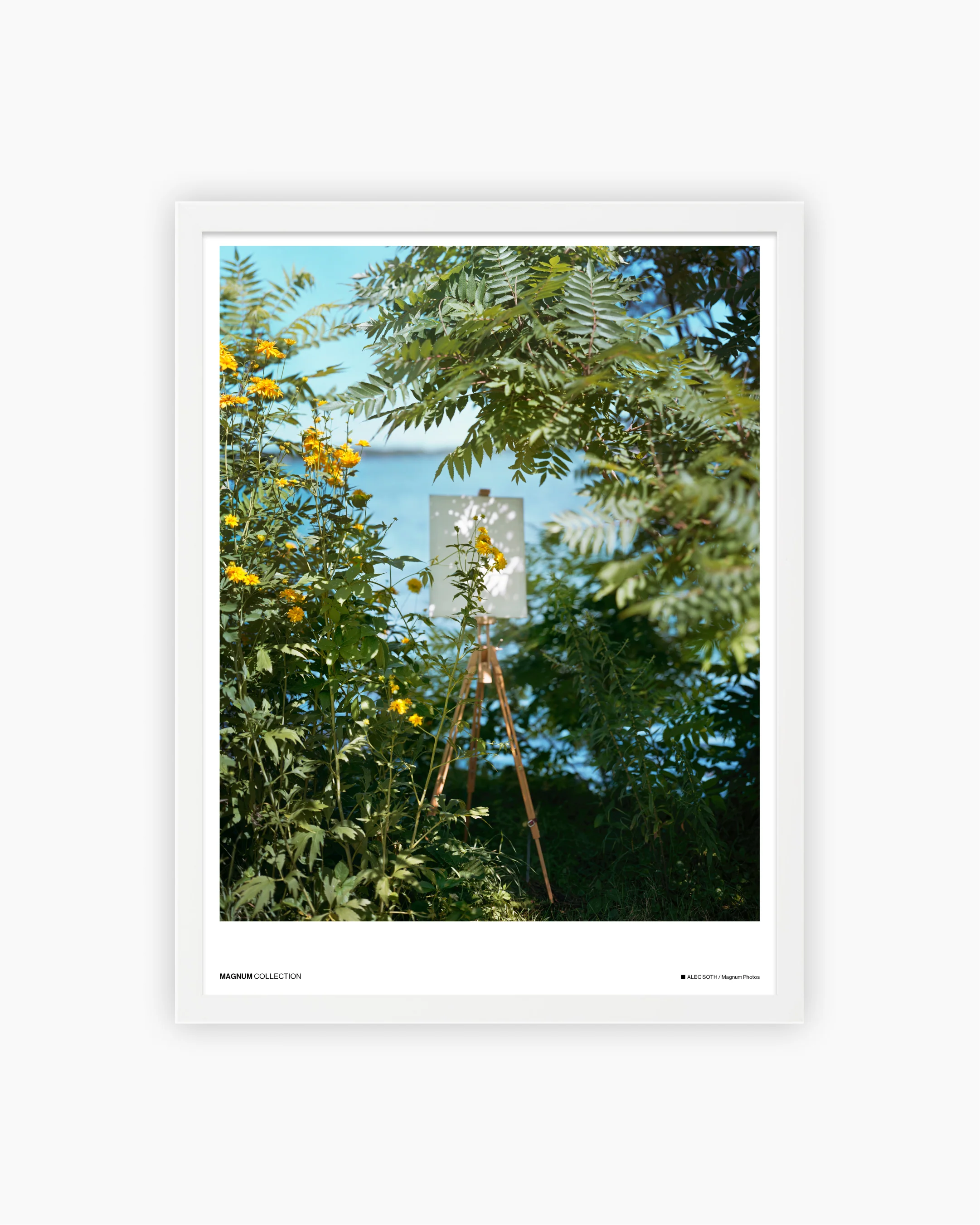 Magnum Poster: White Bear Lake, Minnesota, USA, 2019 - Image 3