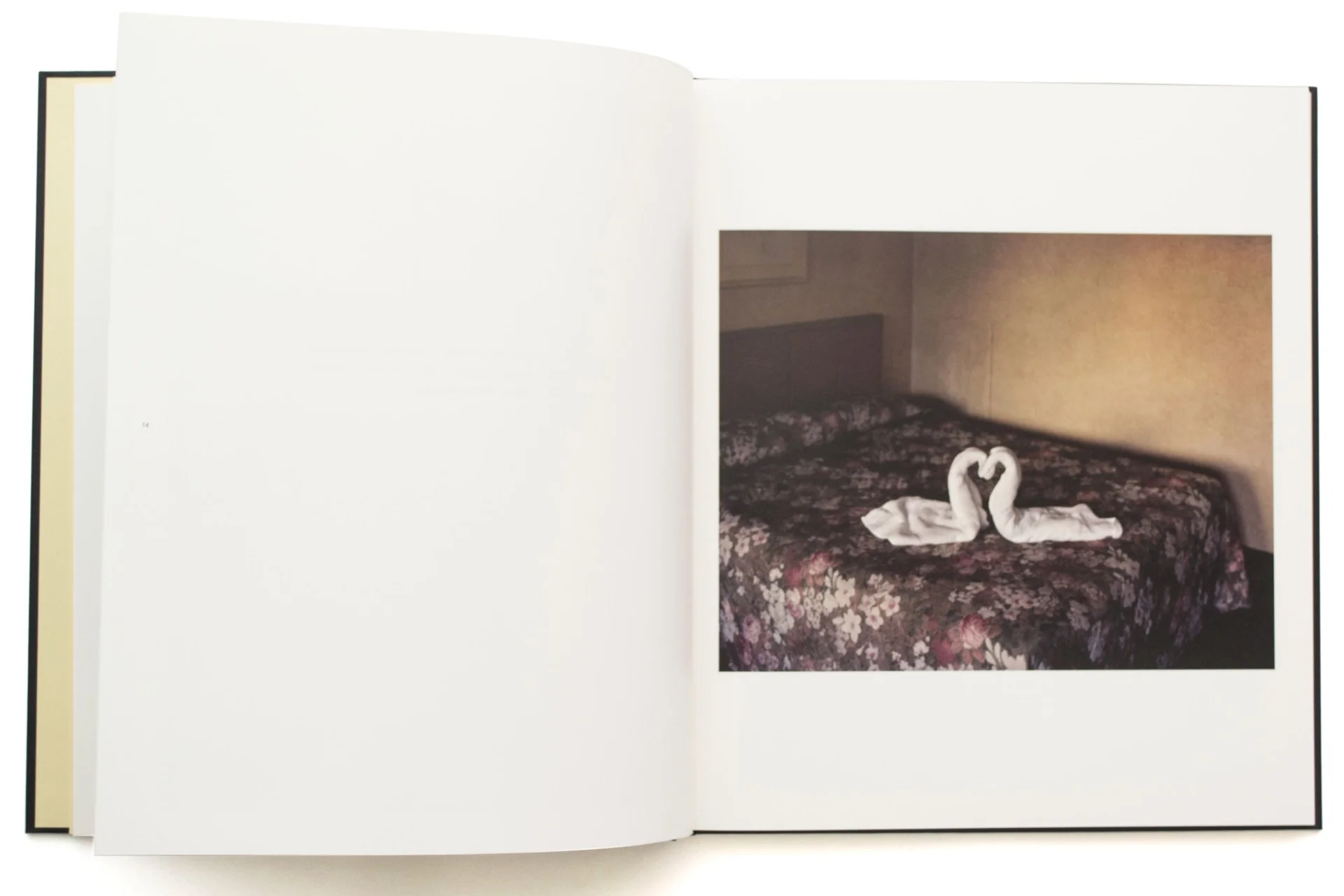 Niagara – Special Edition with Print - Image 6