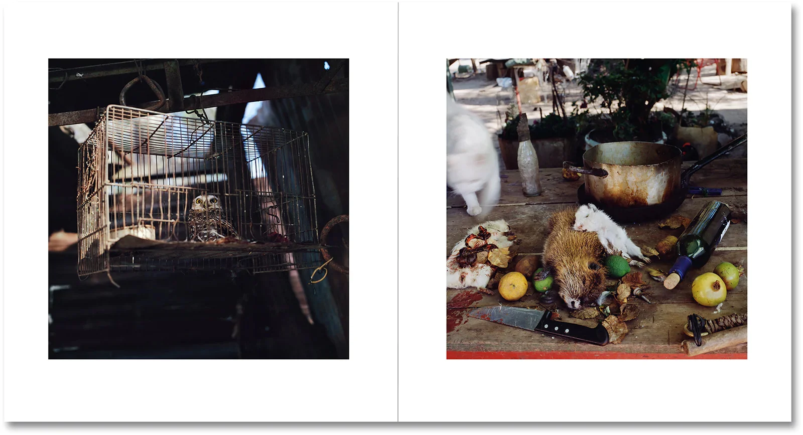 On the Sixth Day - Image 10