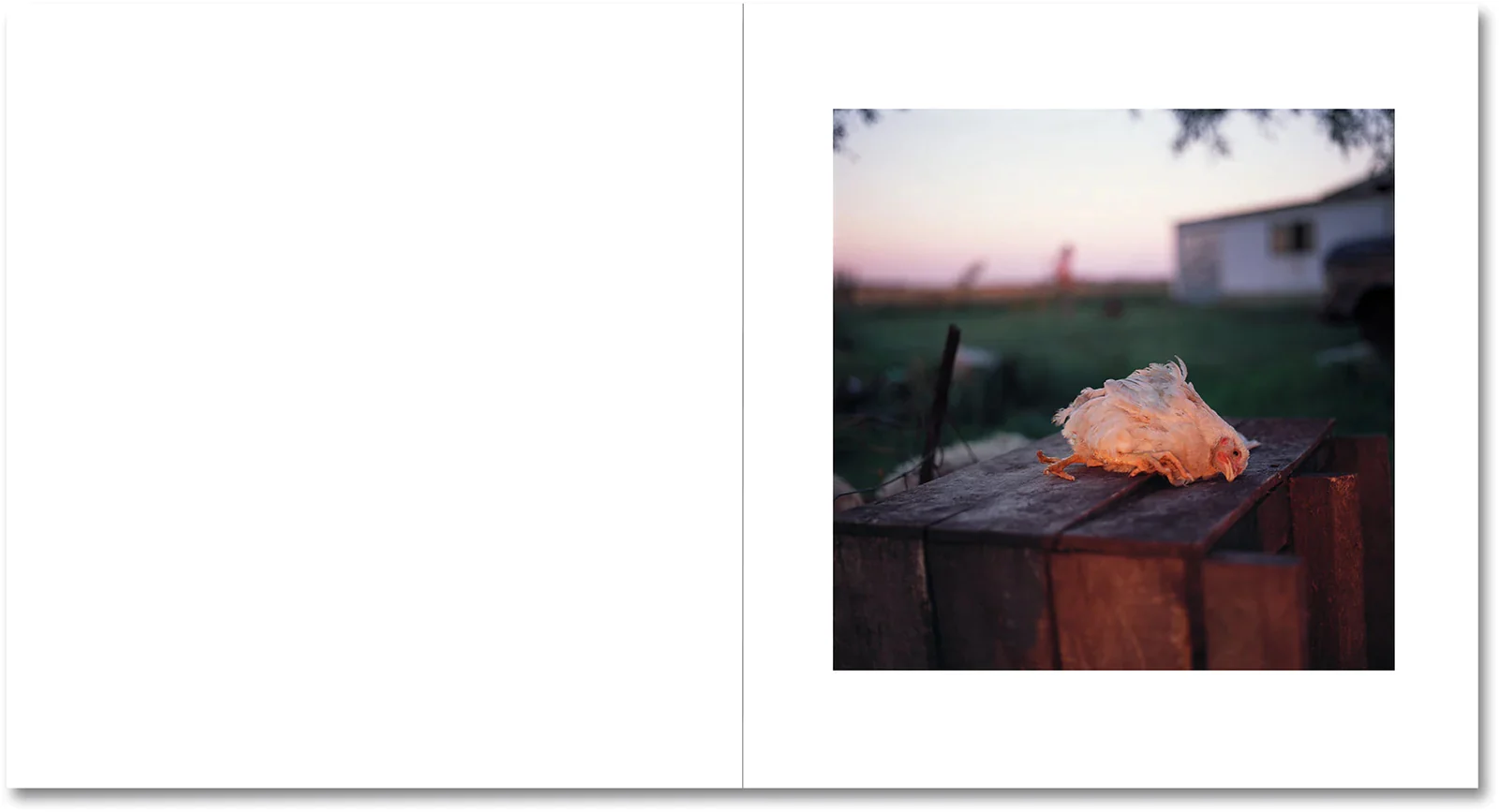 On the Sixth Day - Image 11