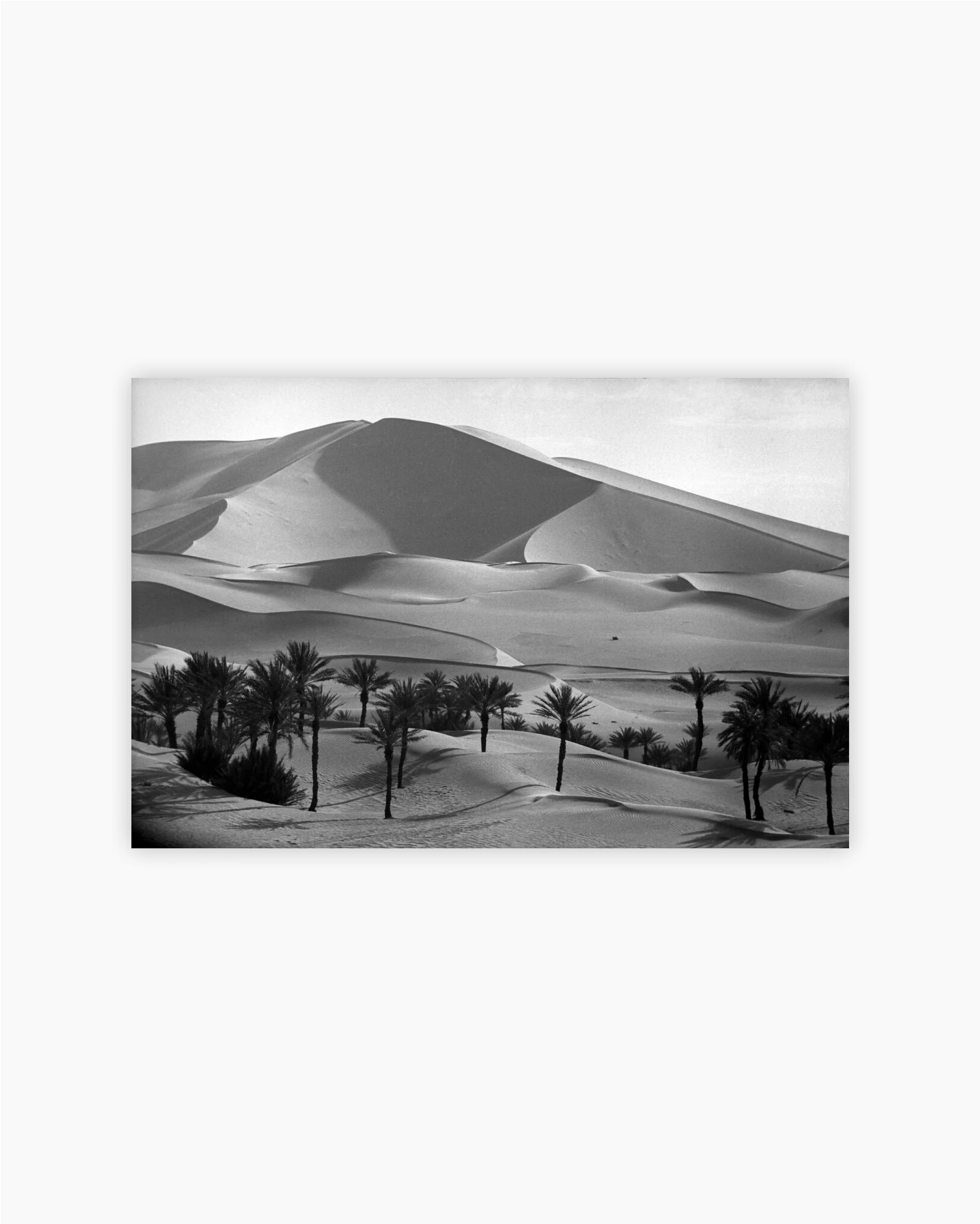 Fine Print: Palmeries of Kerzaz near the Great Western Erg. Sahara, Algeria, 1957