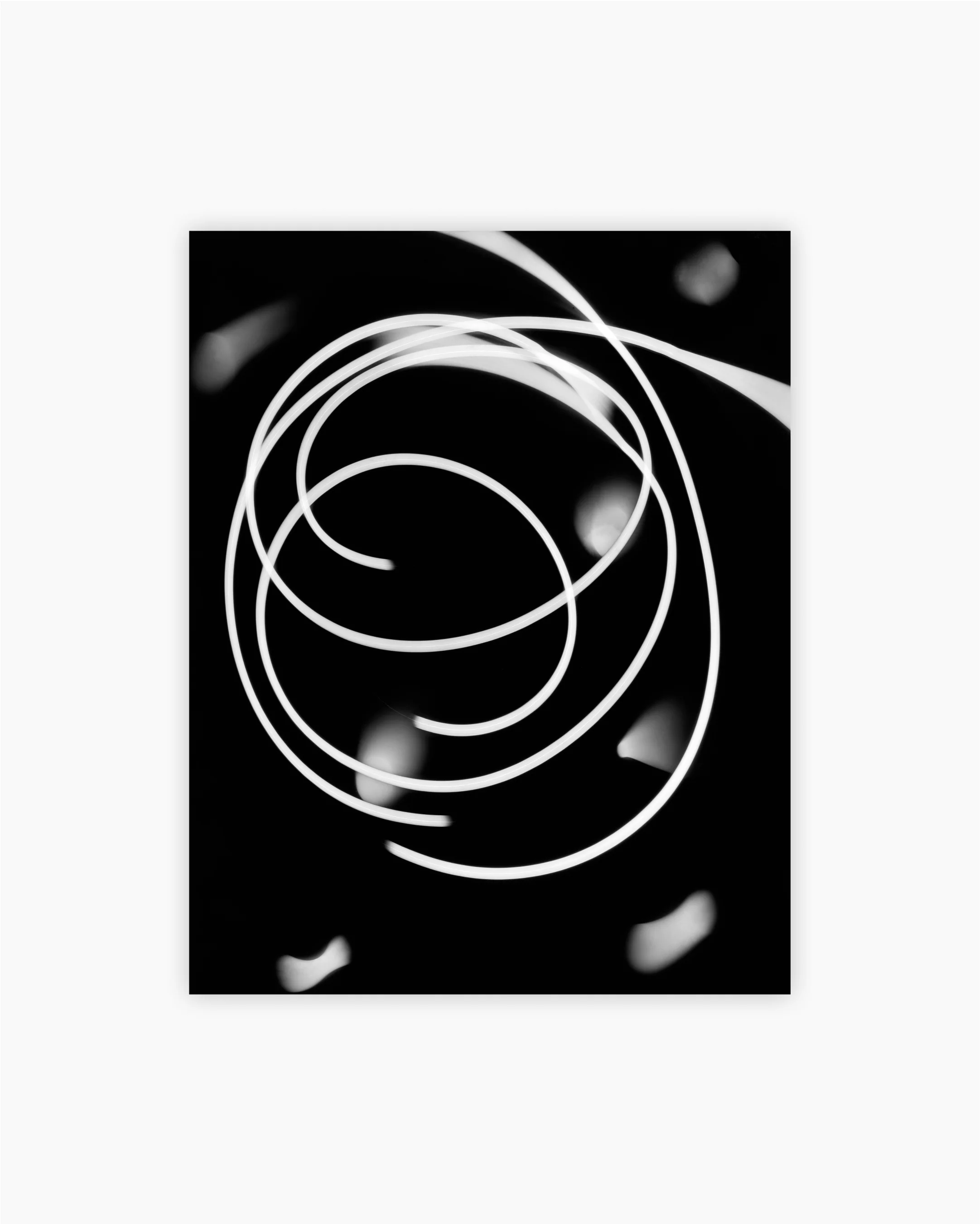 Fine Print: Photogram. Zurich, Switzerland, 1941