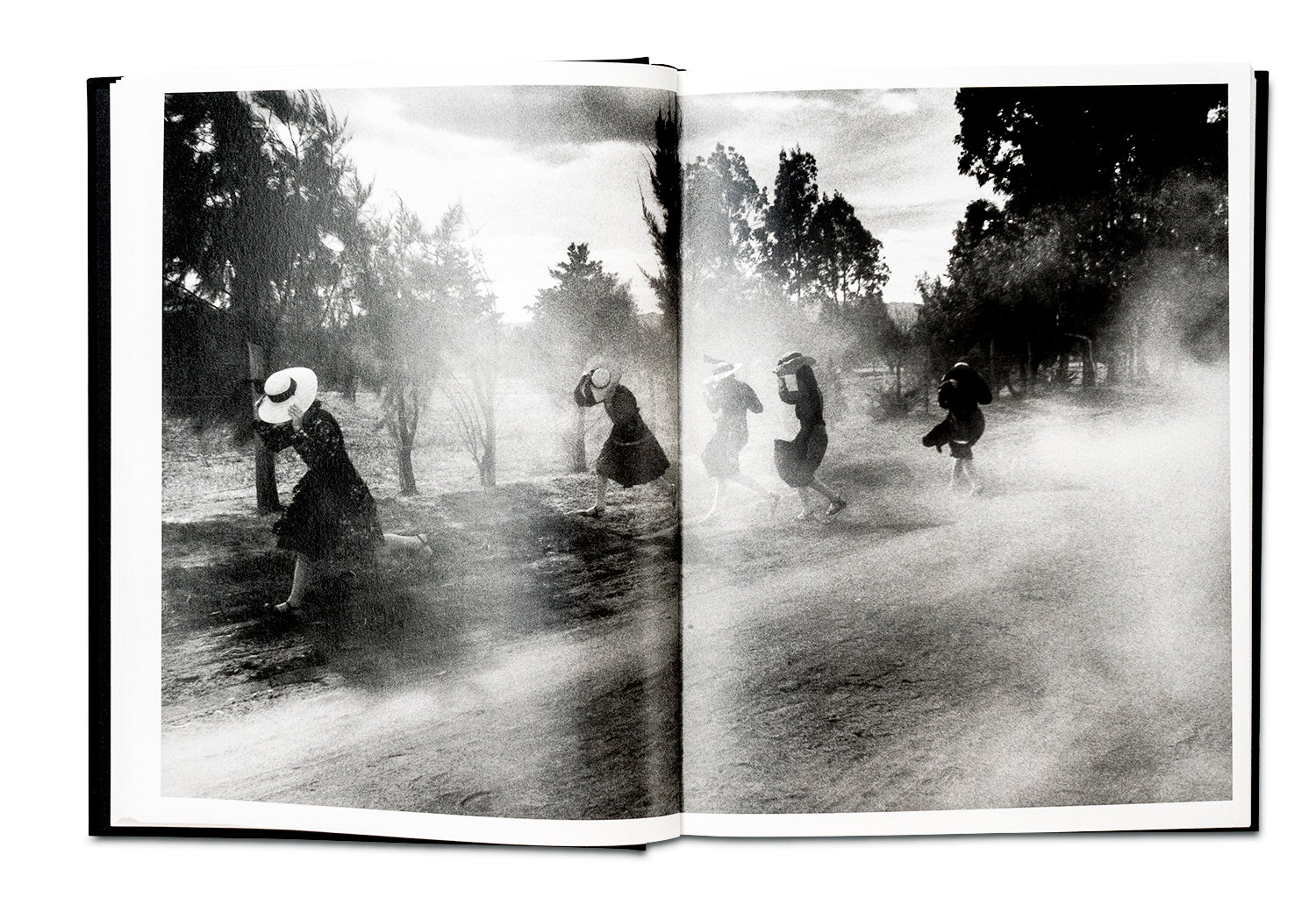 The Mennonites - Image 7