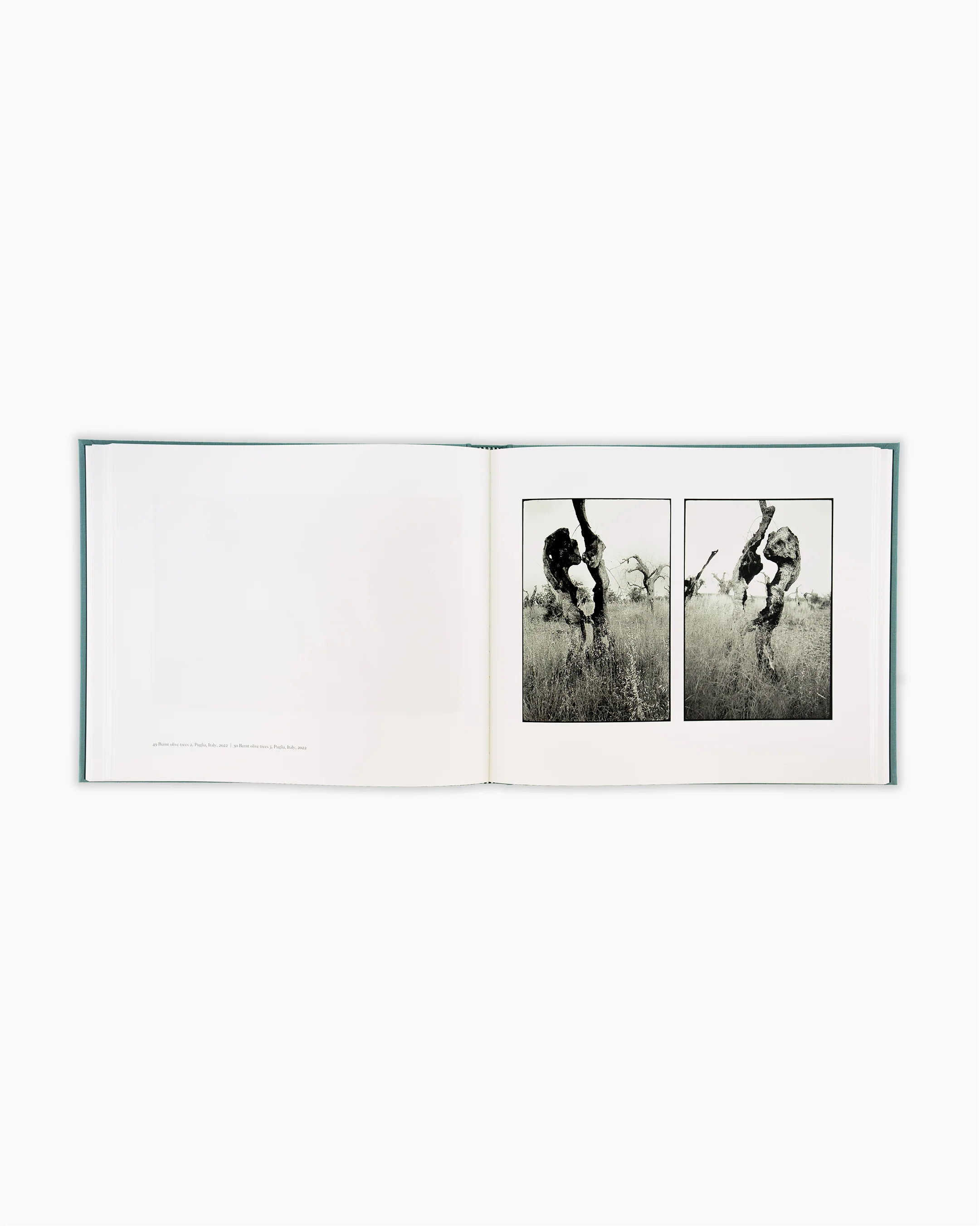 Traces - Image 3