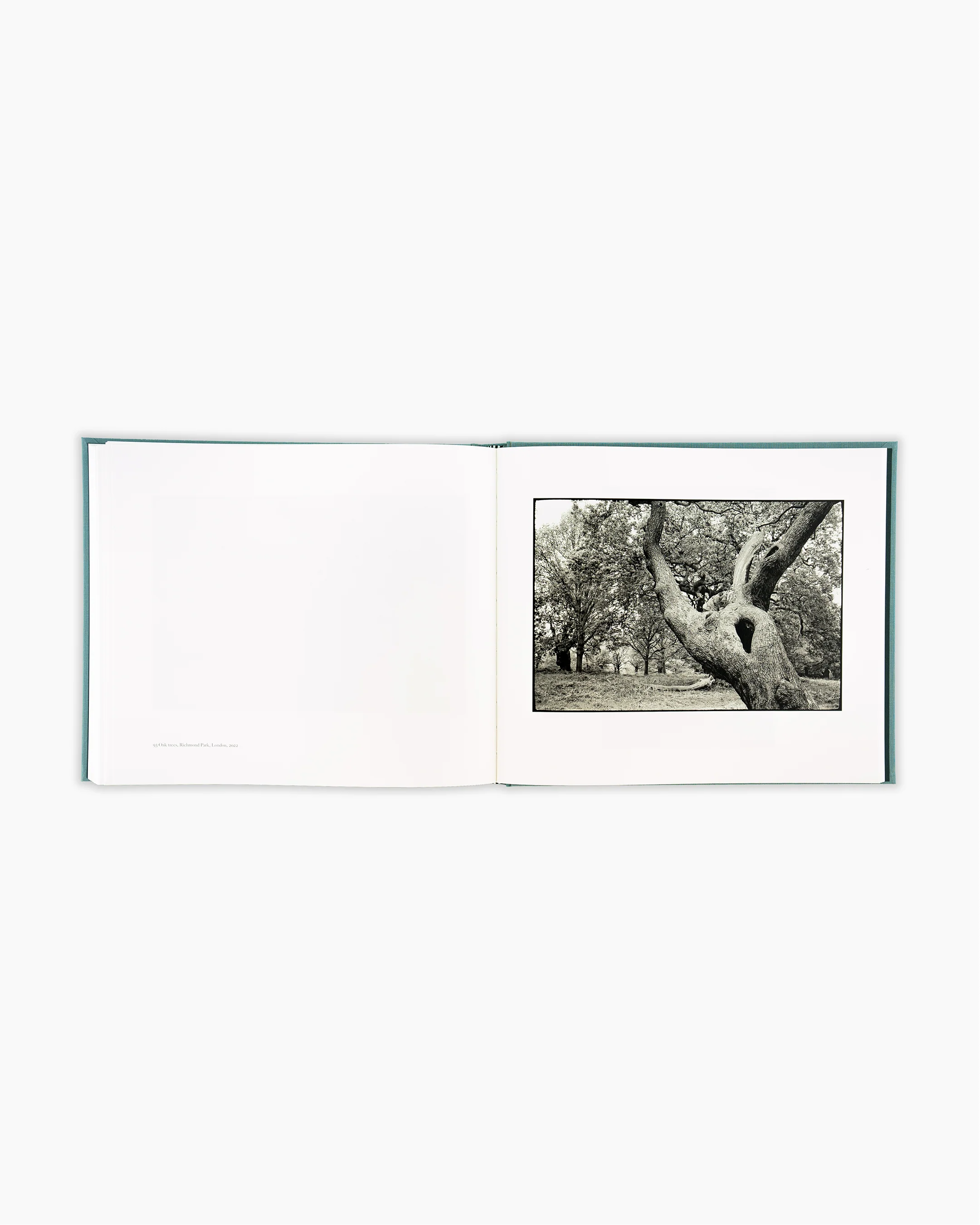 Traces - Image 4